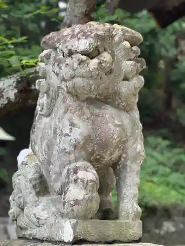 河口浅間神社の狛犬