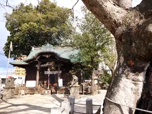 阿邪訶根神社(福島県)