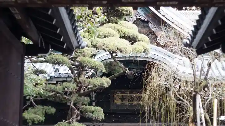 頂法寺(六角堂)(京都府)