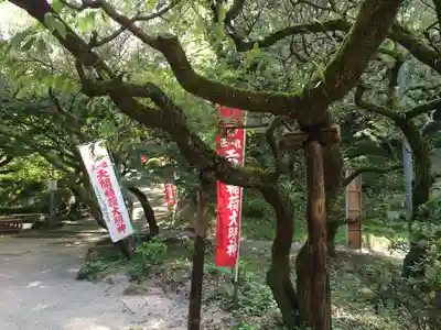 天開稲荷社(福岡県)