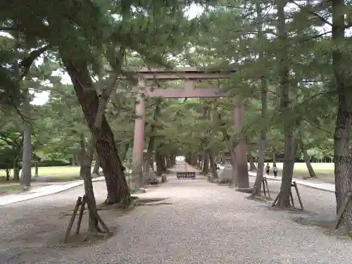 出雲大社(島根県)