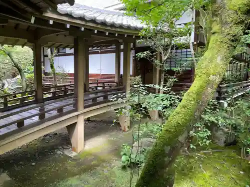 禅林寺（永観堂）(京都府)