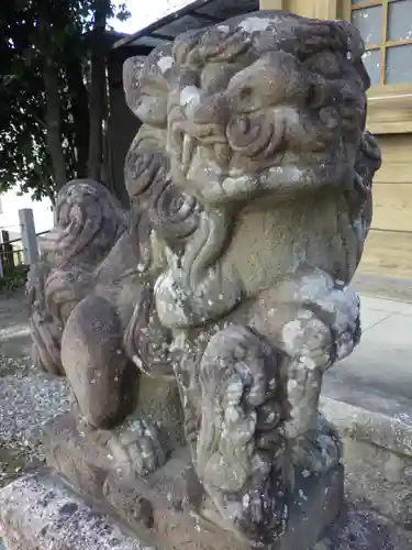 白山神社（小幡）の狛犬