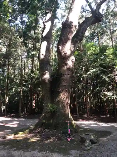 神麻続機殿神社(皇大神宮所管社)の自然