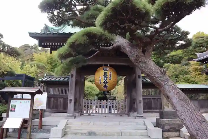 長谷寺(神奈川県)