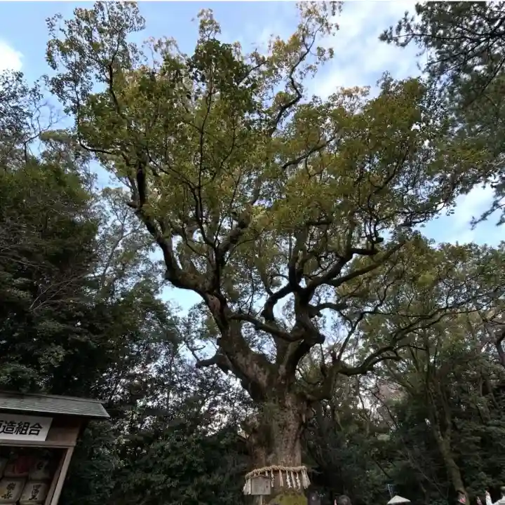 熱田神宮の{uncategorized: "未分類", other: "その他", undefined: "問題あり", building: "その他建物", grave: "お墓", sacred_gate: "鳥居", guardian: "狛犬", statue: "像", buddha: "仏像", history: "歴史", nature: "自然", garden: "庭園", animal: "動物", pagoda: "塔", temizu: "手水舎", mountain_gate: "山門・神門", sanctuary: "本殿・本堂", subordinate: "末社・摂社", art: "芸術", scenery: "景色", jizo: "地蔵", ema: "絵馬", goshuin: "御朱印", omikuji: "おみくじ", items: "授与品その他", amulet: "お守り", goshuincho: "御朱印帳", eats: "食事", festival: "お祭り", votive_dance: "神楽", shichigosan: "七五三参", wedding: "結婚式", experience: "体験その他", initially: "初詣", around: "周辺", anti_infection: "感染症対策"}