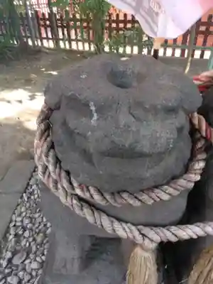 浅草神社の狛犬