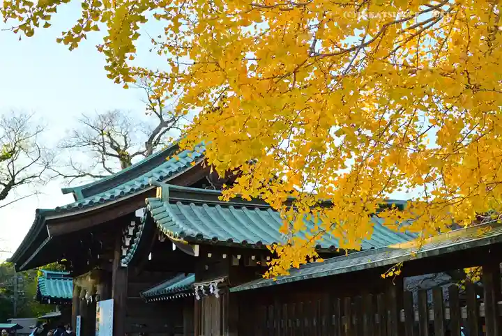 三嶋大社(静岡県)