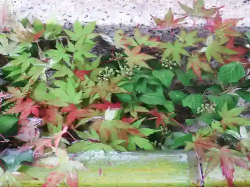 嘉川八幡宮(山口県)