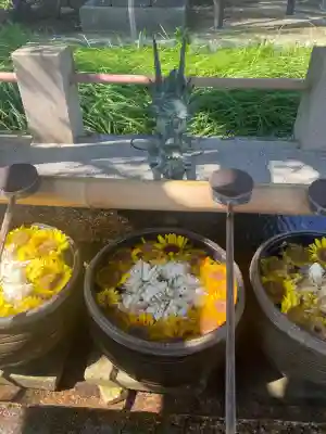 津島神社(愛知県)