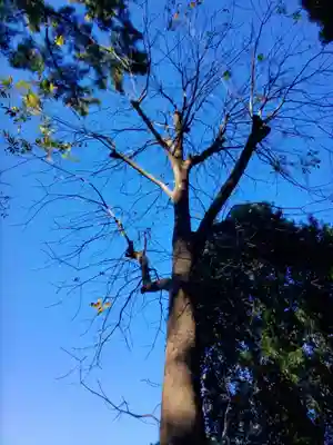 布多天神社(東京都)