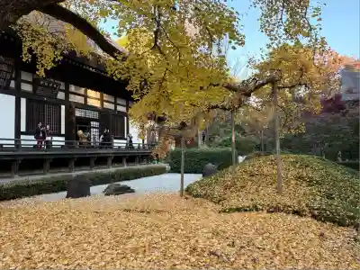 淨眞寺(東京都)