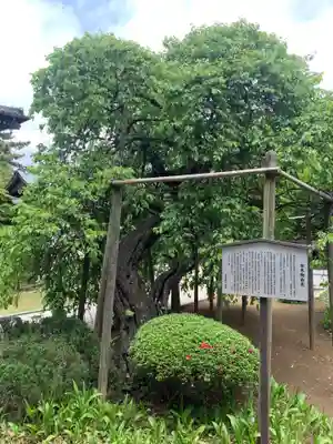 遠壽院(千葉県)