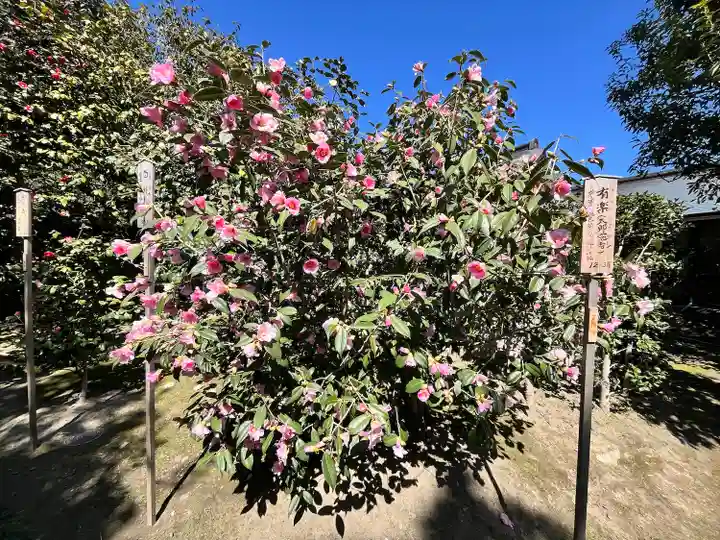 城南宮(京都府)