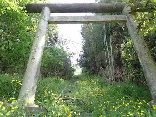 山崎忌部神社の鳥居