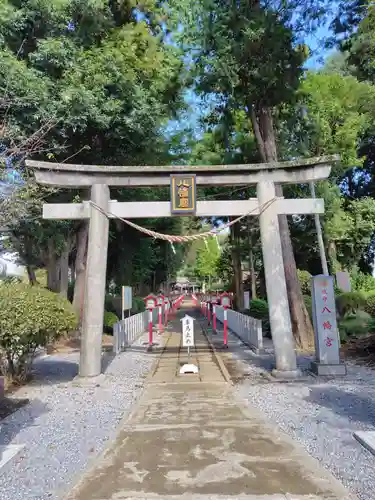 薬師寺八幡宮(栃木県)