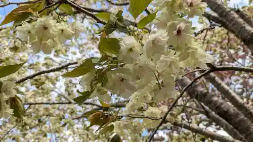 圓光寺(京都府)