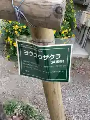 富部神社の自然