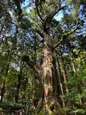志和稲荷神社(岩手県)