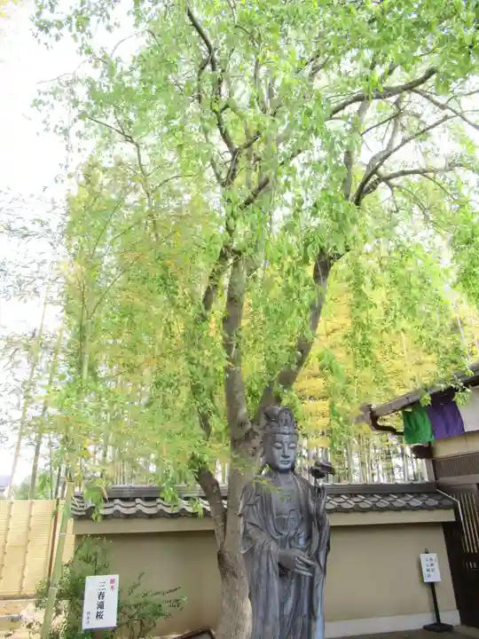 真光寺(千葉県)