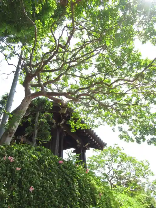 威徳院(千葉県)