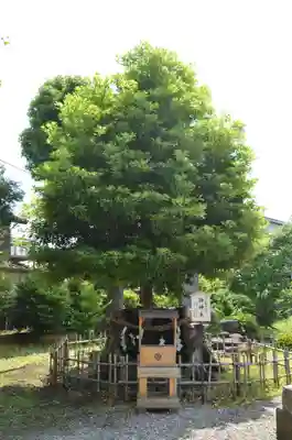 日々神社(神奈川県)
