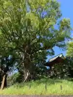 北岡神社の自然