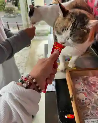 賀茂別雷神社(栃木県)