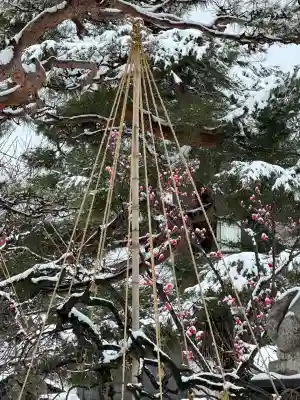 於保多神社の{uncategorized: "未分類", other: "その他", undefined: "問題あり", building: "その他建物", grave: "お墓", sacred_gate: "鳥居", guardian: "狛犬", statue: "像", buddha: "仏像", history: "歴史", nature: "自然", garden: "庭園", animal: "動物", pagoda: "塔", temizu: "手水舎", mountain_gate: "山門・神門", sanctuary: "本殿・本堂", subordinate: "末社・摂社", art: "芸術", scenery: "景色", jizo: "地蔵", ema: "絵馬", goshuin: "御朱印", omikuji: "おみくじ", items: "授与品その他", amulet: "お守り", goshuincho: "御朱印帳", eats: "食事", festival: "お祭り", votive_dance: "神楽", shichigosan: "七五三参", wedding: "結婚式", experience: "体験その他", initially: "初詣", around: "周辺", anti_infection: "感染症対策"}