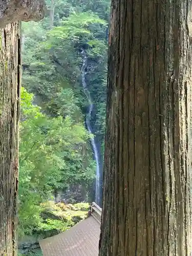 榛名神社(群馬県)