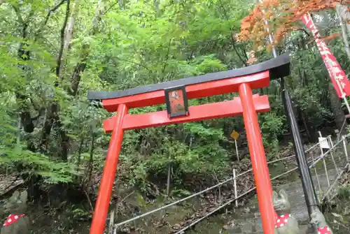 最上稲荷山妙教寺の鳥居