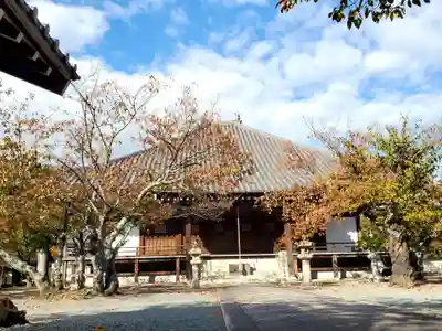 教信寺の本殿・本堂