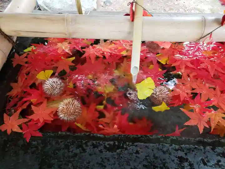 福島八幡宮の手水舎