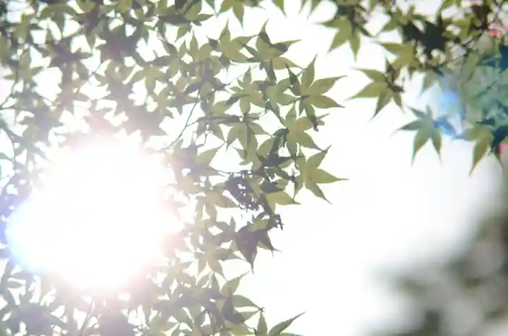 鷺森神社(京都府)