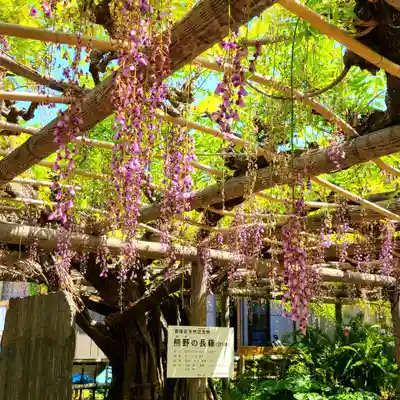 行興寺(静岡県)