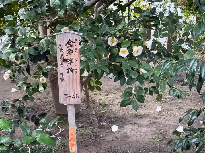 城南宮(京都府)