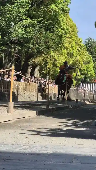 鶴岡八幡宮(神奈川県)