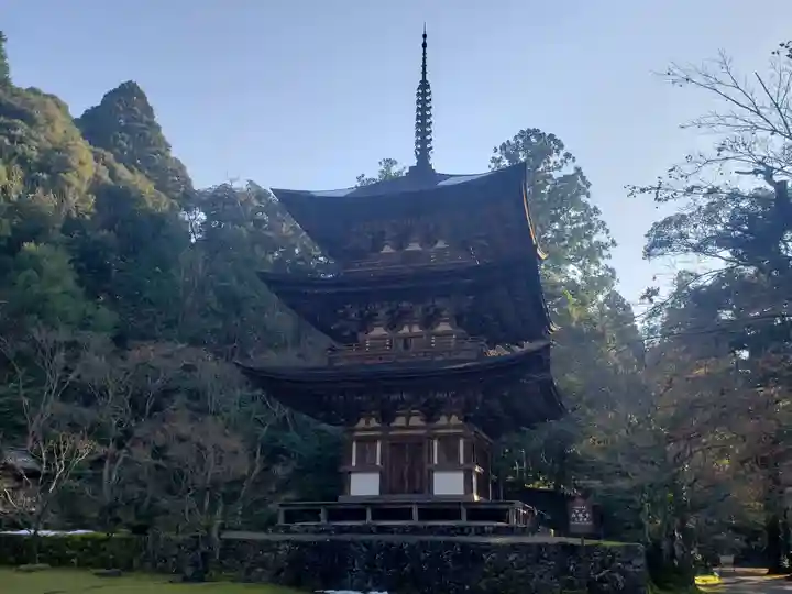西明寺の塔