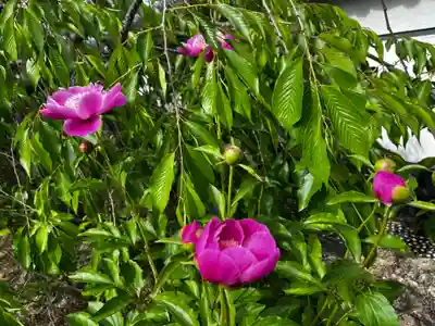 松本山 地福禅寺(滋賀県)