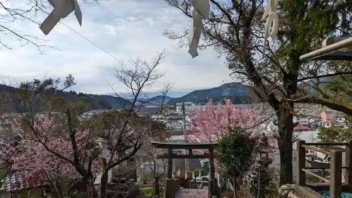 琴平神社(高知県)