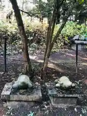 亀岡八幡宮の狛犬