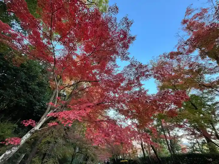 光明寺(粟生光明寺)(京都府)