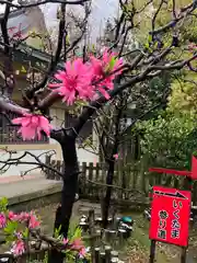 生國魂神社(大阪府)