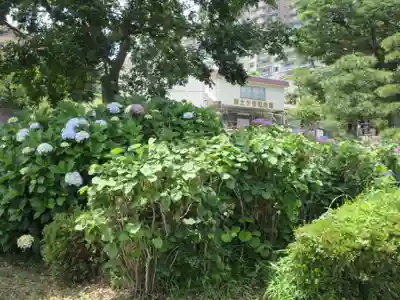 外川神社(神奈川県)