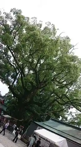 熊野那智大社の自然