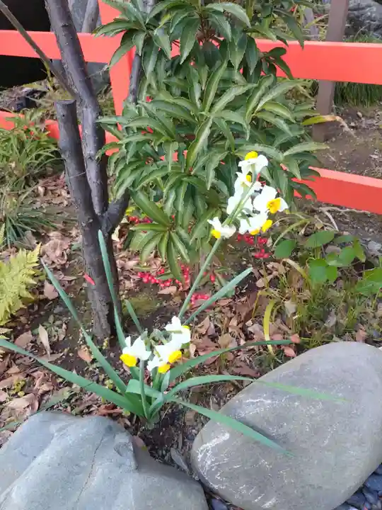 愛宕神社(東京都)