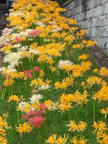 横浜　西方寺(神奈川県)