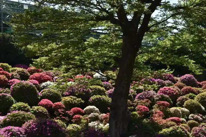 根津神社の庭園
