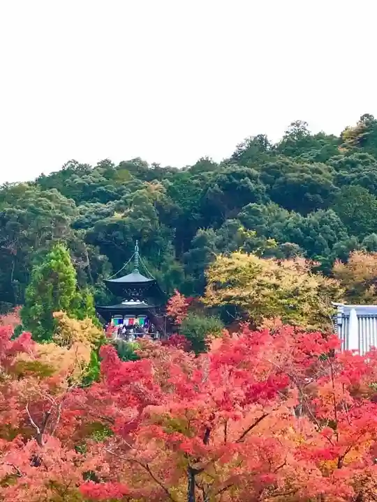 禅林寺(永観堂)(京都府)