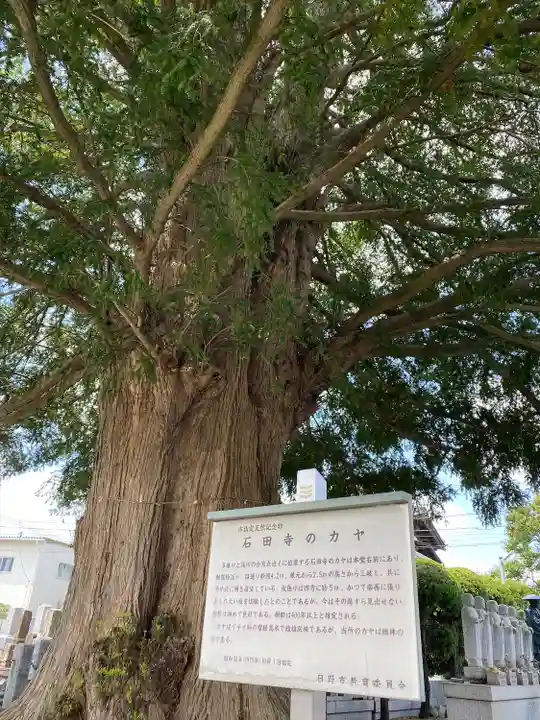 石田寺(東京都)